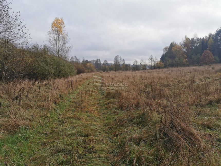 Działki Budowlane w Otulinie Puszczy Knyszyńskiej miniaturka 10