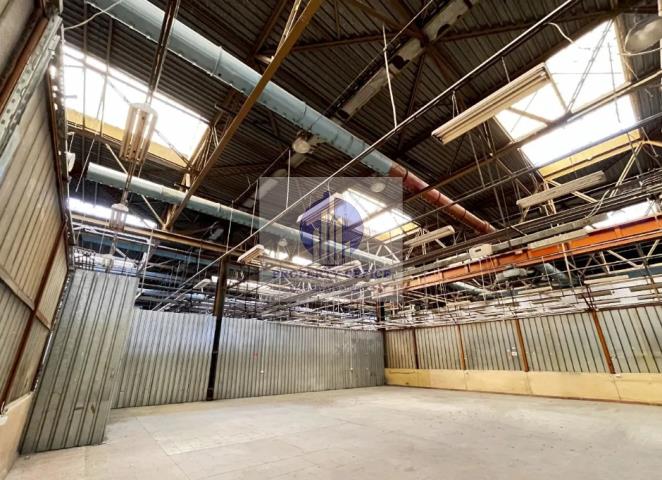 Bielany: magazyn 240,53 m2 - zdjęcie 1