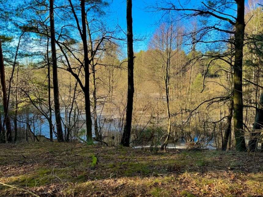 Działka leśna nad Pilicą-Ostrów gm. Aleksandrów miniaturka 5