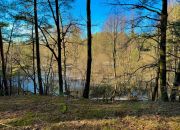 Działka leśna nad Pilicą-Ostrów gm. Aleksandrów miniaturka 5