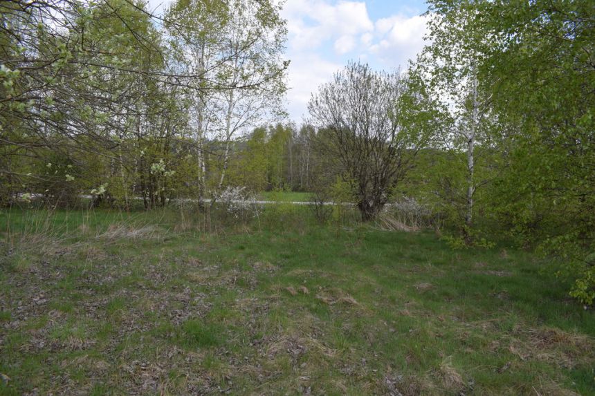 Działka rolno-budowlana 28a, Chmielnik miniaturka 2