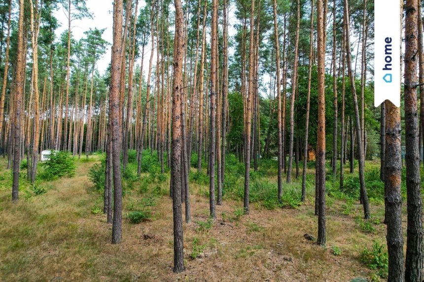 Wyjątkowa  - nad rzeką Świder z warunkami zabudowy miniaturka 11