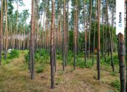 Wyjątkowa  - nad rzeką Świder z warunkami zabudowy miniaturka 11