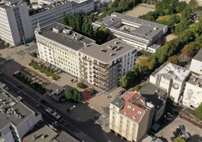 Otwarta przestrzeń w nowej części Gdyni 206m2 -do miniaturka 10