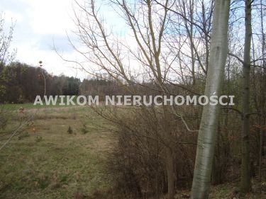 Pieńki Zarębskie 1 020 000 zł 1.03 ha