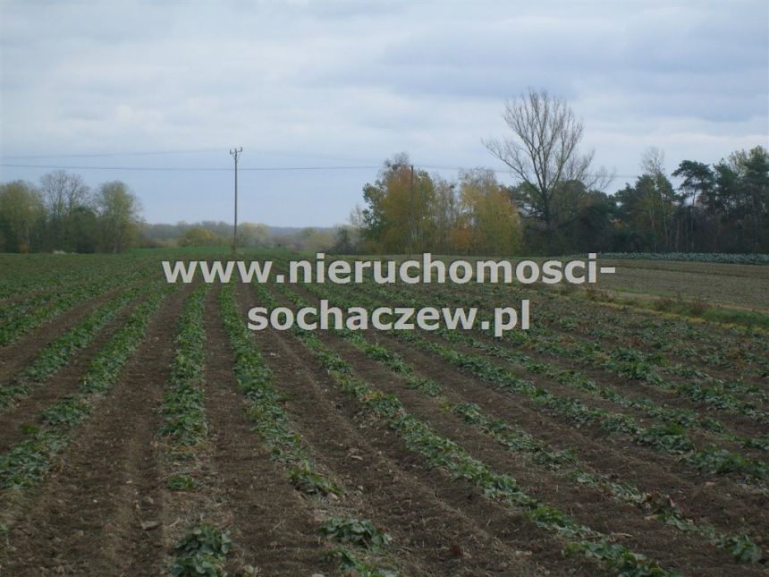 MPZP: PU,MNU,MN,R Wyszogród - zdjęcie 1