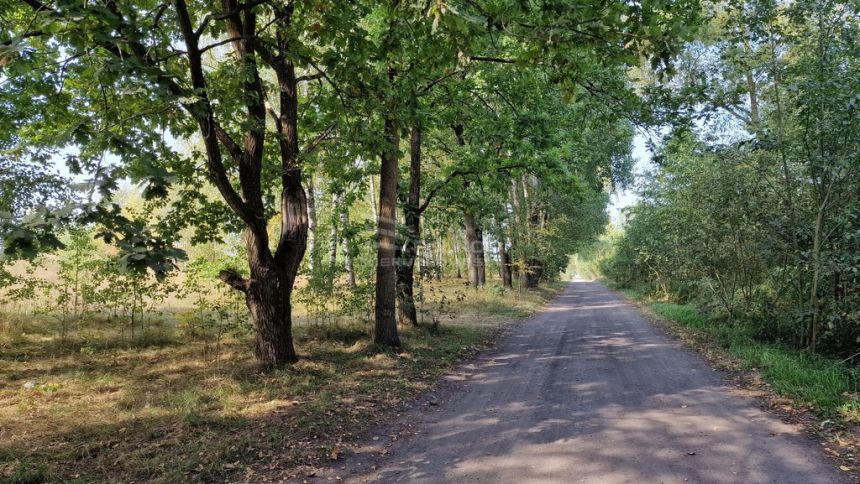 Duża działka z planem na zabudowę mieszkaniową miniaturka 12