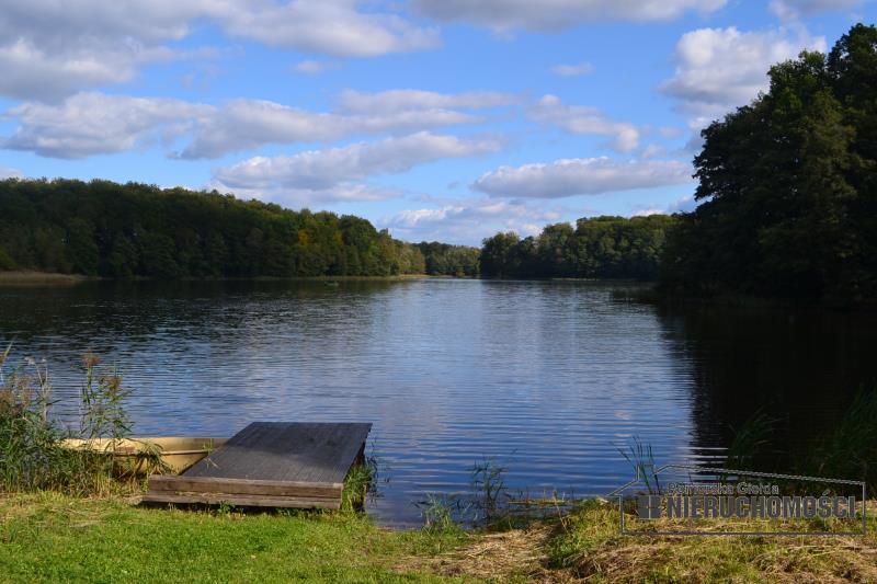 Działka zabudowy zagrodowej z własnym lasem miniaturka 9