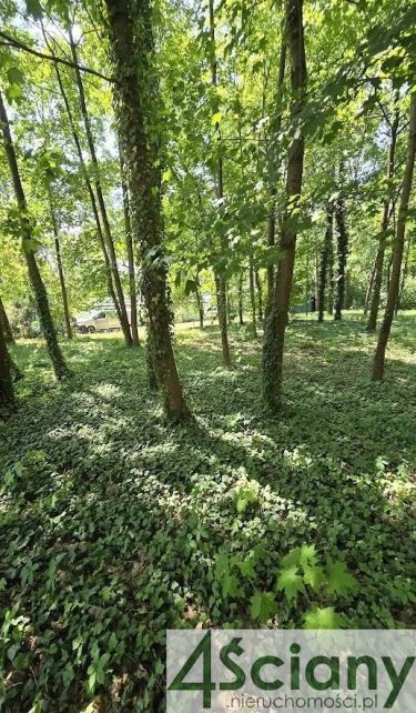 Podkowa Leśna, 2 300 000 zł, 21.82 ar, płaska