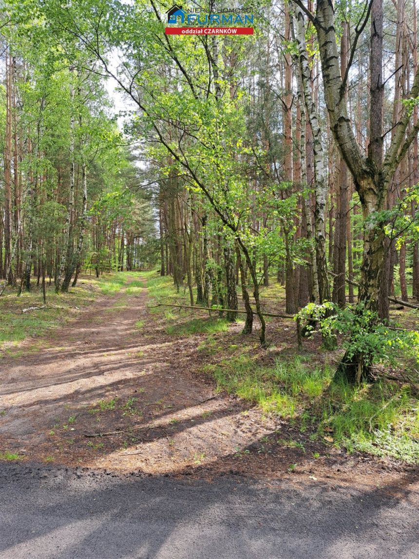 działka siedliskowa na sprzedaż w Antoniewie miniaturka 6