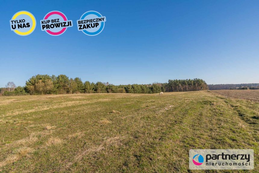 Zwierzewo, 1 499 000 zł, 1.29 ha, droga dojazdowa gruntowa miniaturka 16