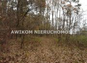 Stara Rawa, 141 040 zł, 1.41 ha, droga dojazdowa asfaltowa miniaturka 6