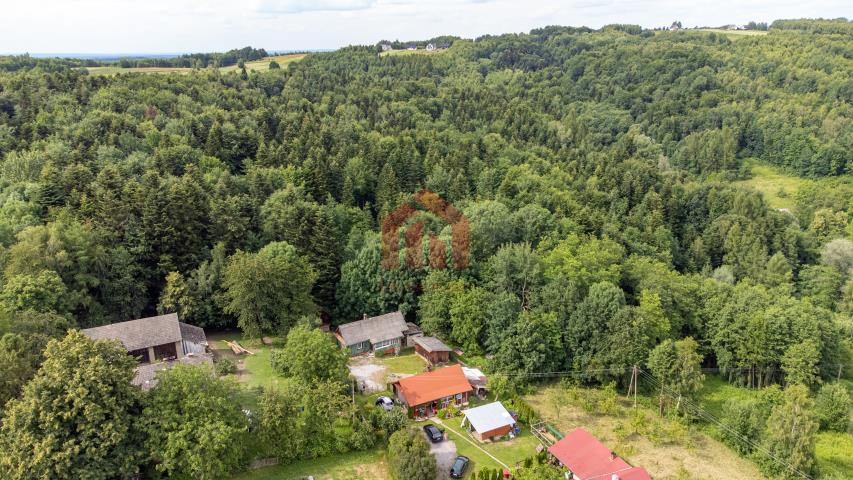 Chata drewniana przy ścianie pieknego starego lasu miniaturka 1