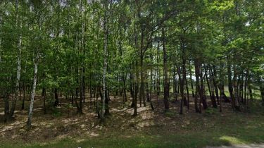 2 Działki budowlane przy Puszczy