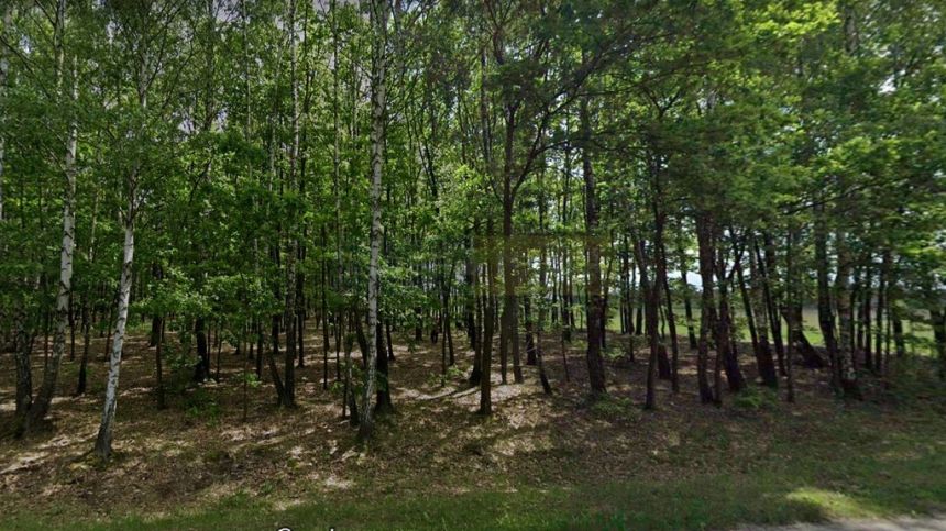 2 Działki budowlane przy Puszczy - zdjęcie 1