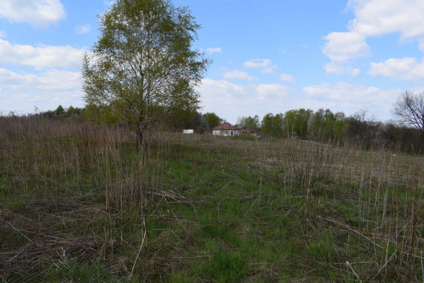 Działka rolno-budowlana 28a, Chmielnik miniaturka 5