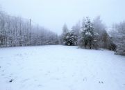 Działa 1215 m2 Zalezianka (gmina Łączna) miniaturka 5