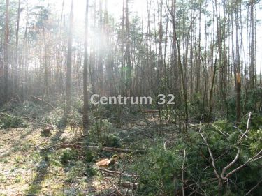 Siestrzeń, 2 000 000 zł, 1.15 ha, przyłącze wodociągu