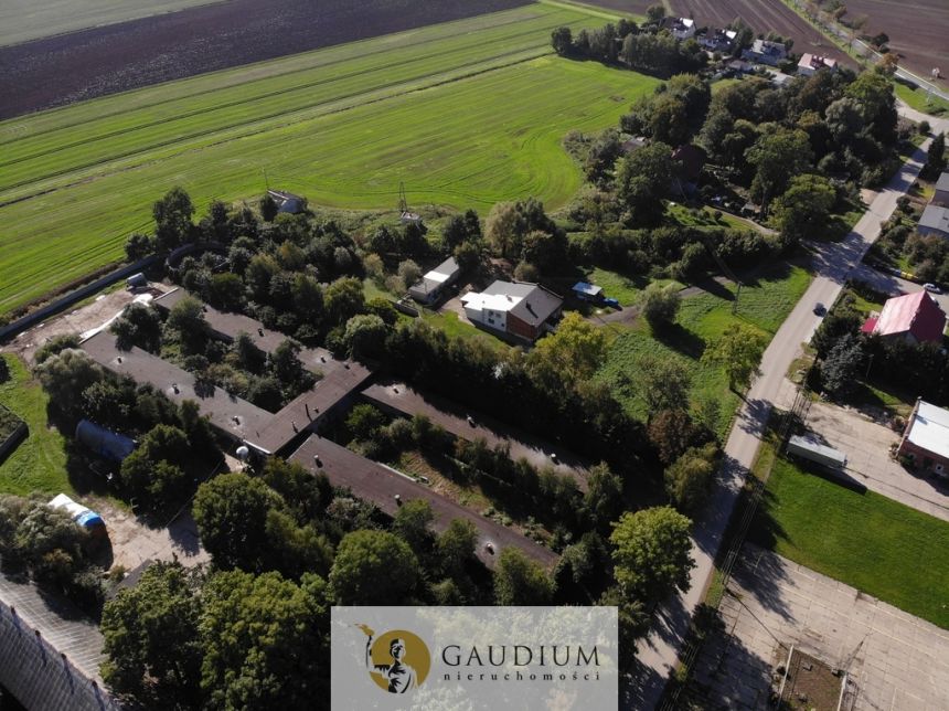 Hala 1500 m2 | Martąg - zdjęcie 1