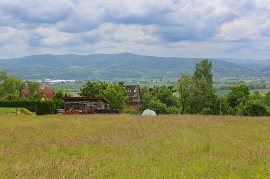 Na sprzedaż: działka 79 arów- Domosławice miniaturka 11