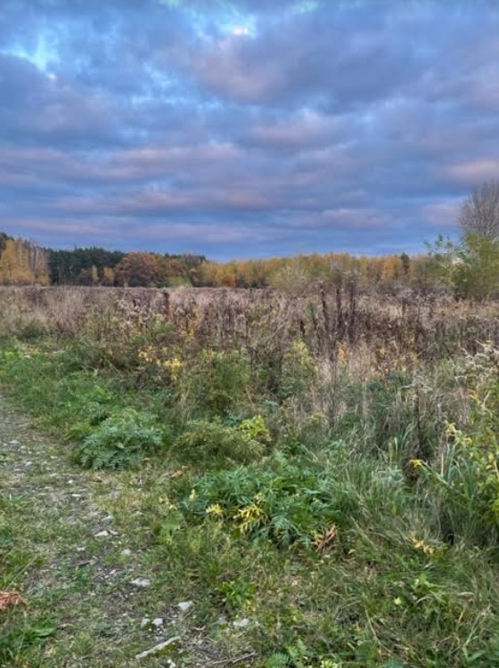 Działka o pow. 7000 m2 w Sierakowie. miniaturka 5