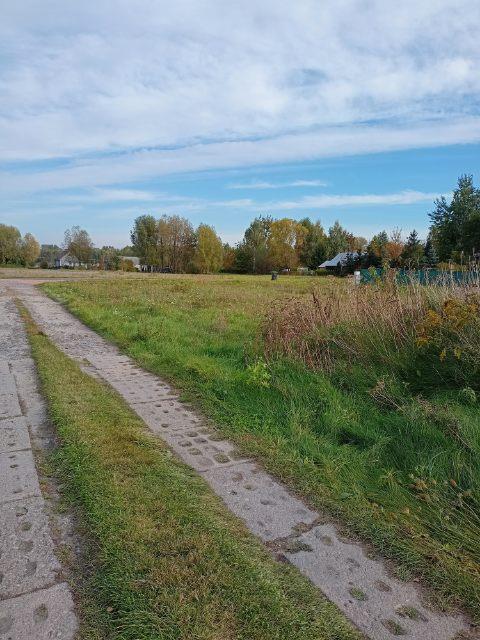 Holendry Baranowskie, 130 000 zł, 30 ar, droga dojazdowa asfaltowa miniaturka 5