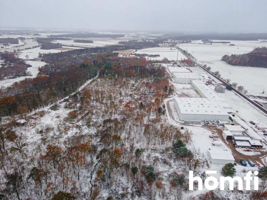 DZIAŁKA INWESTYCYJNA W POGALEWIE WIELKIM - 1,67 ha miniaturka 3