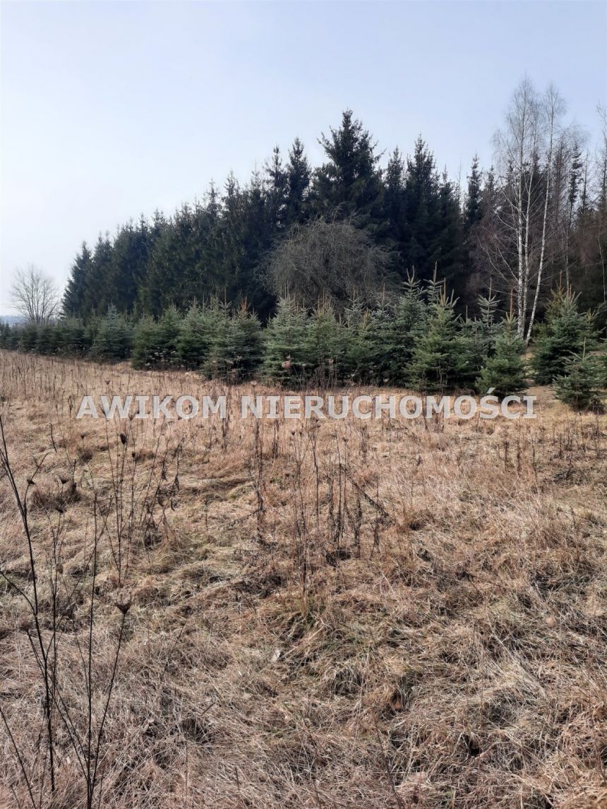 Powązki, 6 302 715 zł, 4.35 ha, studnia miniaturka 3