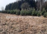 Powązki, 6 302 715 zł, 4.35 ha, studnia miniaturka 3