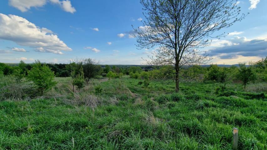 Tąpkowice, 300 000 zł, 14.1 ar, budowlana miniaturka 6