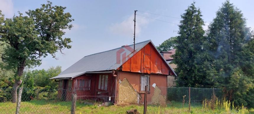 twoja oaza spokoju na wschodzie, Wielkie Oczy miniaturka 6