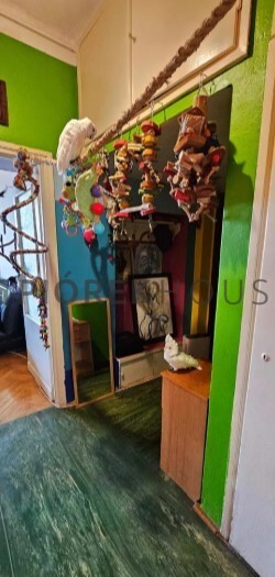 2-pokojowe mieszkanie na Mokotowie miniaturka 6
