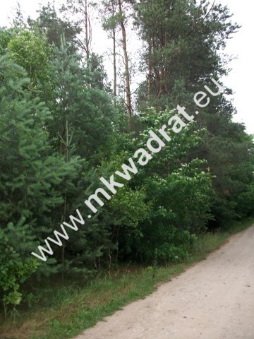 Urokliwa działka siedliskowa 27.500m2