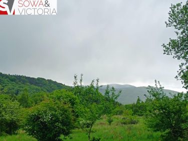 Jedlina-Zdrój Kamieńsk, 130 000 zł, 12 ar, droga dojazdowa asfaltowa