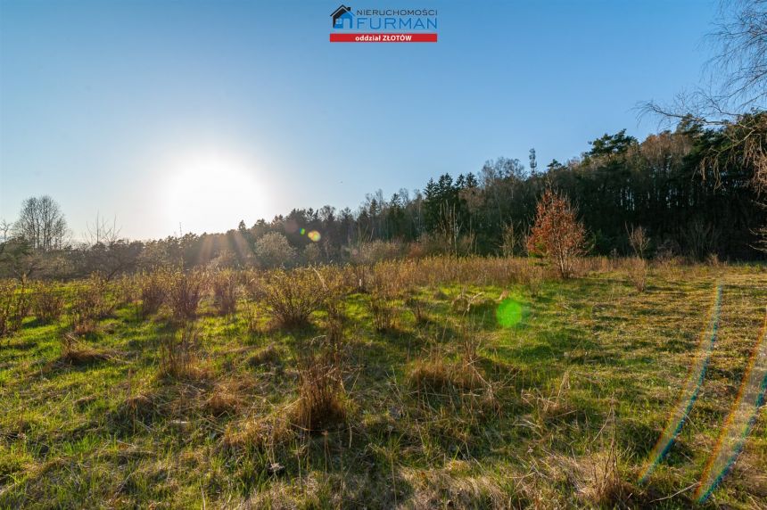 DZIAŁKA 1,09HA NA SPRZEDAŻ, OKONEK miniaturka 5