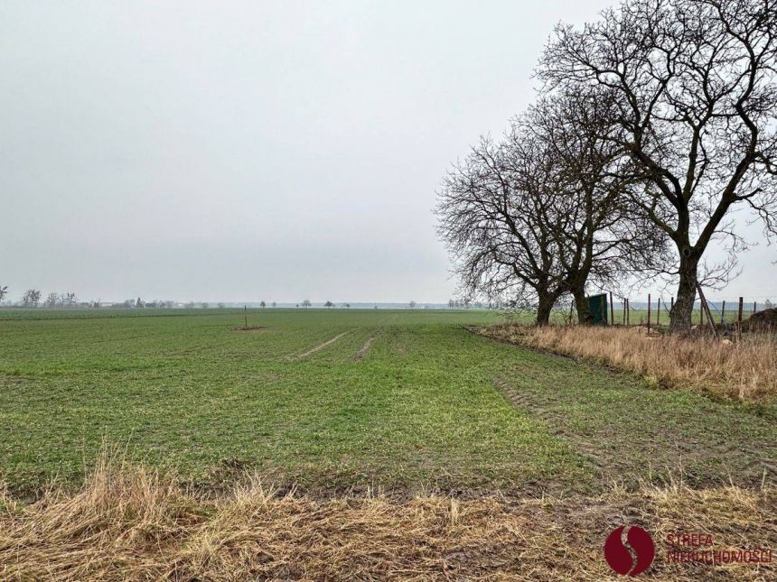 Działka budowlana w Kaźmierzu z WZ ul. Czereśniowa miniaturka 5