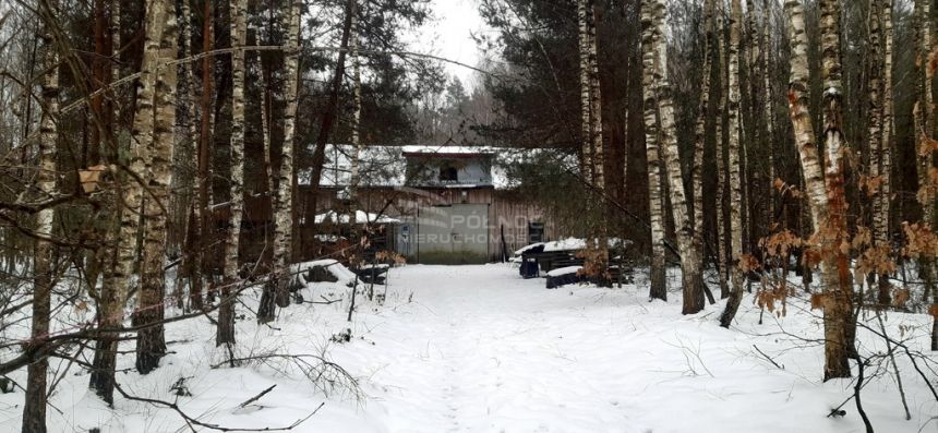 Idealne leśne zacisze Cisza Spokój Opcja podziału miniaturka 3