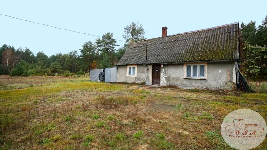 Ucieknij z miasta! Wrąbczynek działka bud. z lasem miniaturka 5