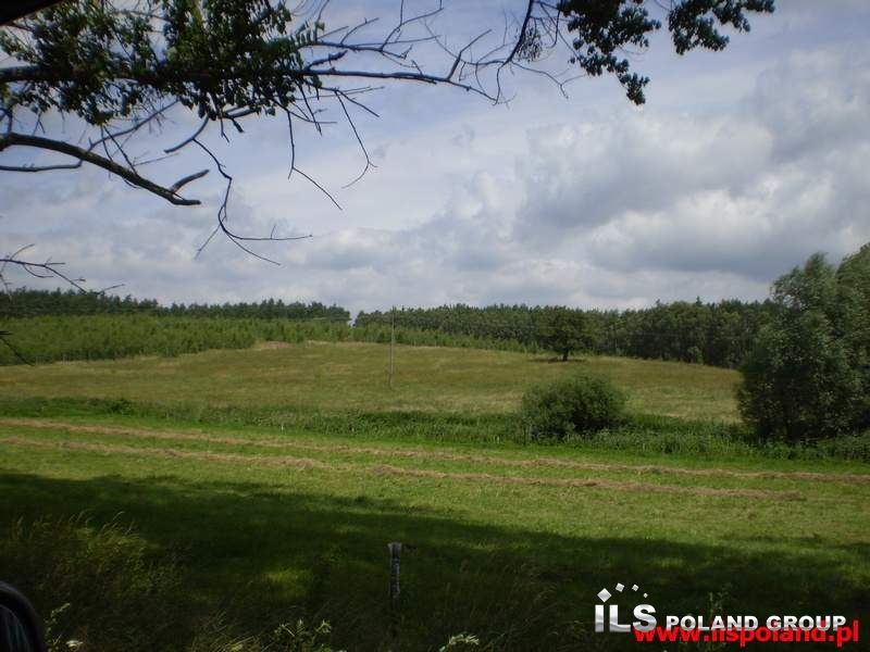 Lisie Pole, 320 000 zł, 2.32 ha, rolna - zdjęcie 1