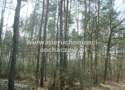 Las w Puszczy Bolimowskiej na sprzedaż miniaturka 11
