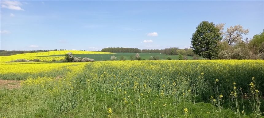 działka na sprzedaż miniaturka 3