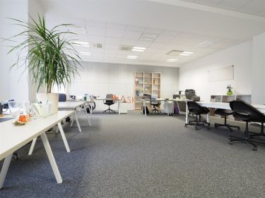 Wrocław Stare Miasto, 4 260 zł, 71 m2, biurowy