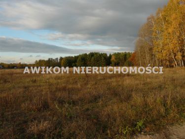 Puszcza Mariańska, 75 110 zł, 10.73 ar, budowlana