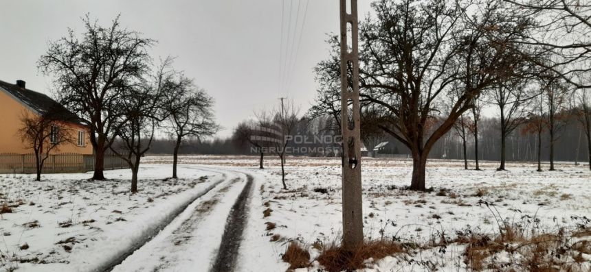 Idealne leśne zacisze Cisza Spokój Opcja podziału miniaturka 10