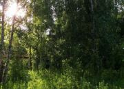 Strzeniówka, 1 050 000 zł, 21.92 ar, prostokątna miniaturka 1