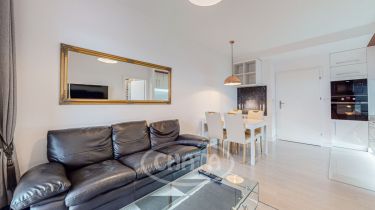 Wrocław Stare Miasto, 2 900 zł, 35 m2, z balkonem