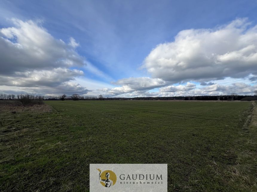 Działka 4600 m2 Sobieszewo ul. Uzdrowiskowa miniaturka 4