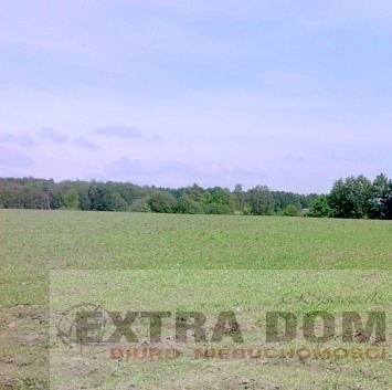 Nowogard 523 500 zł 13.61 ha - zdjęcie 1