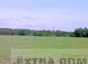 Nowogard 523 500 zł 13.61 ha miniaturka 1