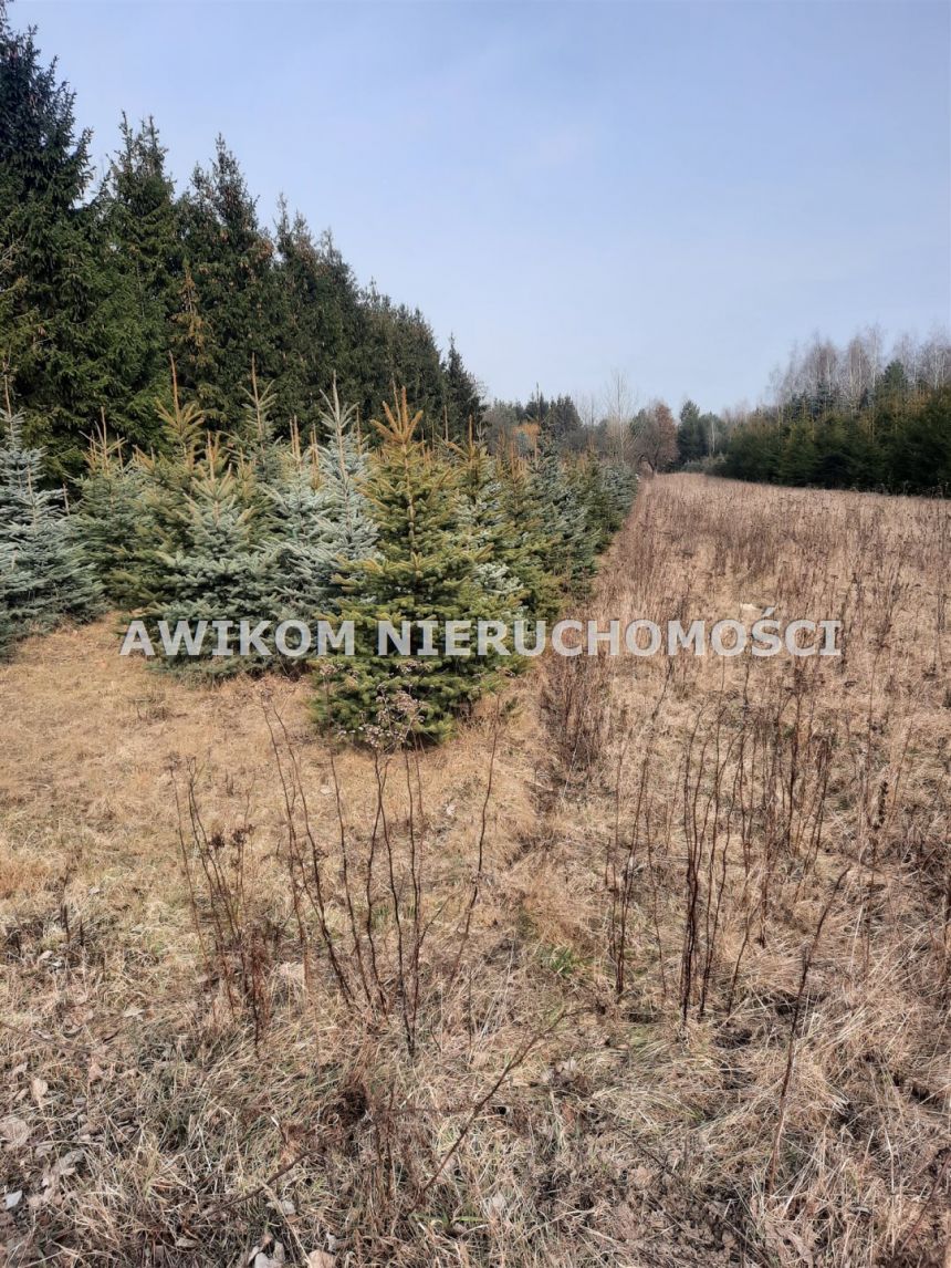 Powązki, 6 302 715 zł, 4.35 ha, studnia miniaturka 9